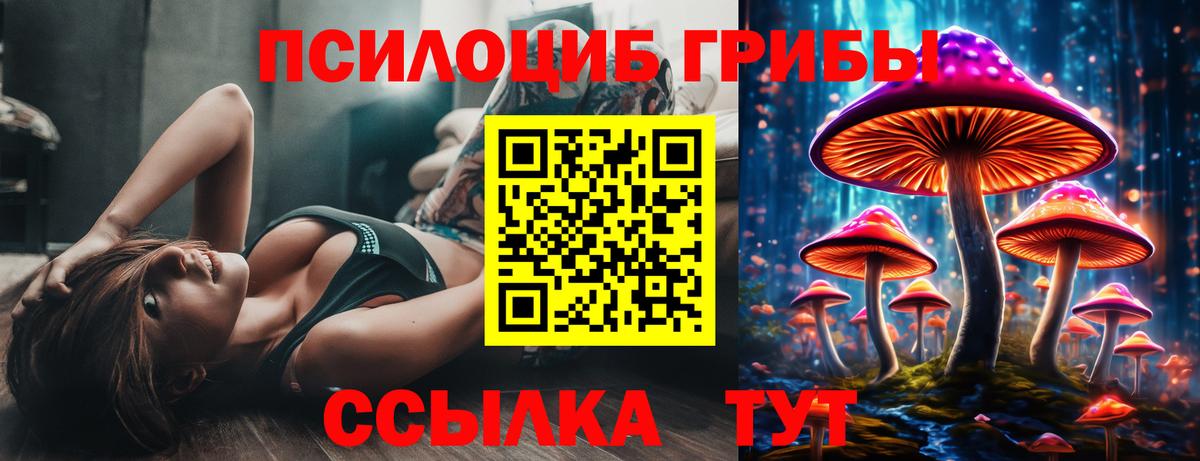 продажа наркотиков  Псилоцибиновые грибы Cubensis  Вход с VPN  Большой Камень 